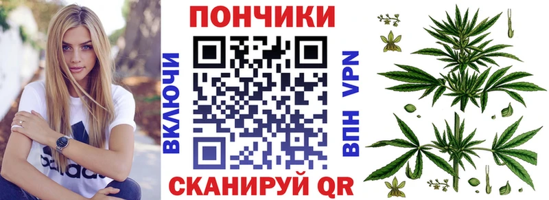 Бошки марихуана сатива  где найти   Новокузнецк 